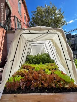 Cotton All Purpose Garden Cover -Garden Care Shop 8612816 03CUST