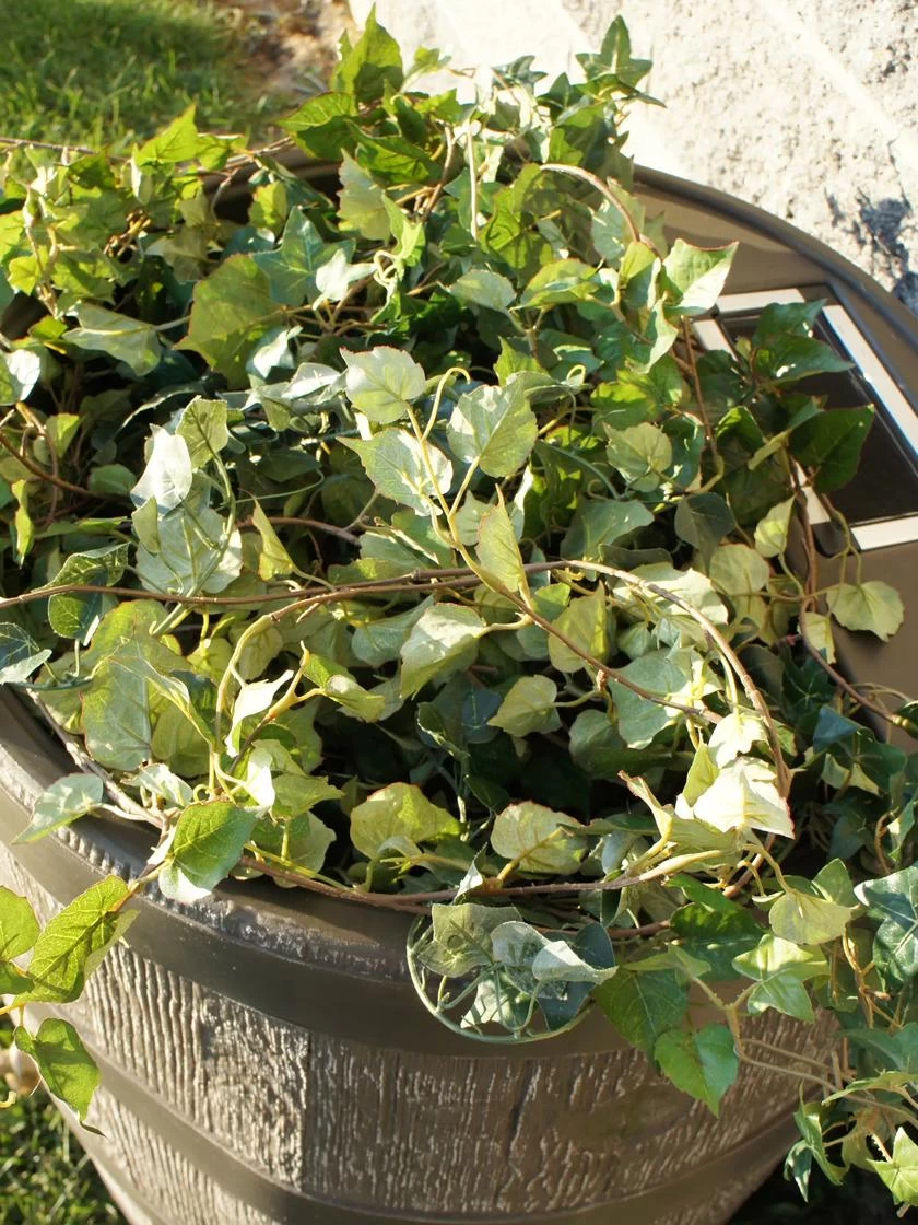 Round Rain Barrel With Planter, 35 Gallons 4 Round Rain Barrel With Planter, 35 Gallons - Image 4