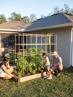 Tomato Six Pack Support -Garden Care Shop 8613143 0313