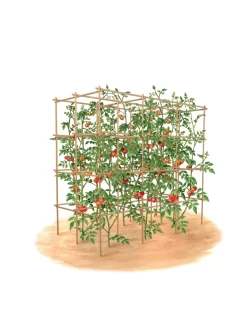 Tomato Six Pack Support -Garden Care Shop 8613143 art flat