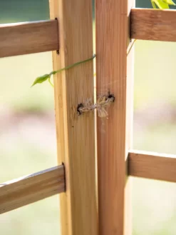 Bamboo Zig-Zag Trellis 24" X 36" 15 Bamboo Zig-Zag Trellis 24" X 36" -Garden Care Shop 8613151 6483