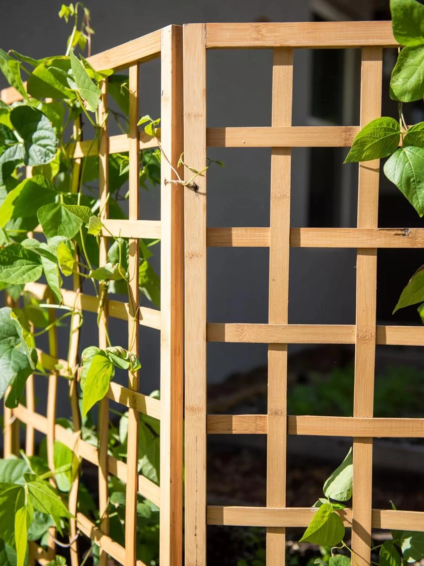 Bamboo Zig-Zag Trellis 24" X 36" 6 Bamboo Zig-Zag Trellis 24" X 36" - Image 6