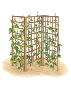 Bamboo Zig-Zag Trellis 24" X 36" 18 Bamboo Zig-Zag Trellis 24" X 36" -Garden Care Shop 8613151 art flat