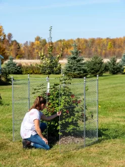 Tall Chicken Wire Critter Fence With Gate 16 Tall Chicken Wire Critter Fence With Gate -Garden Care Shop 8613260 0044