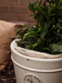 Hortiwool ®, 5 Pad Pack -Garden Care Shop 8613263 17v