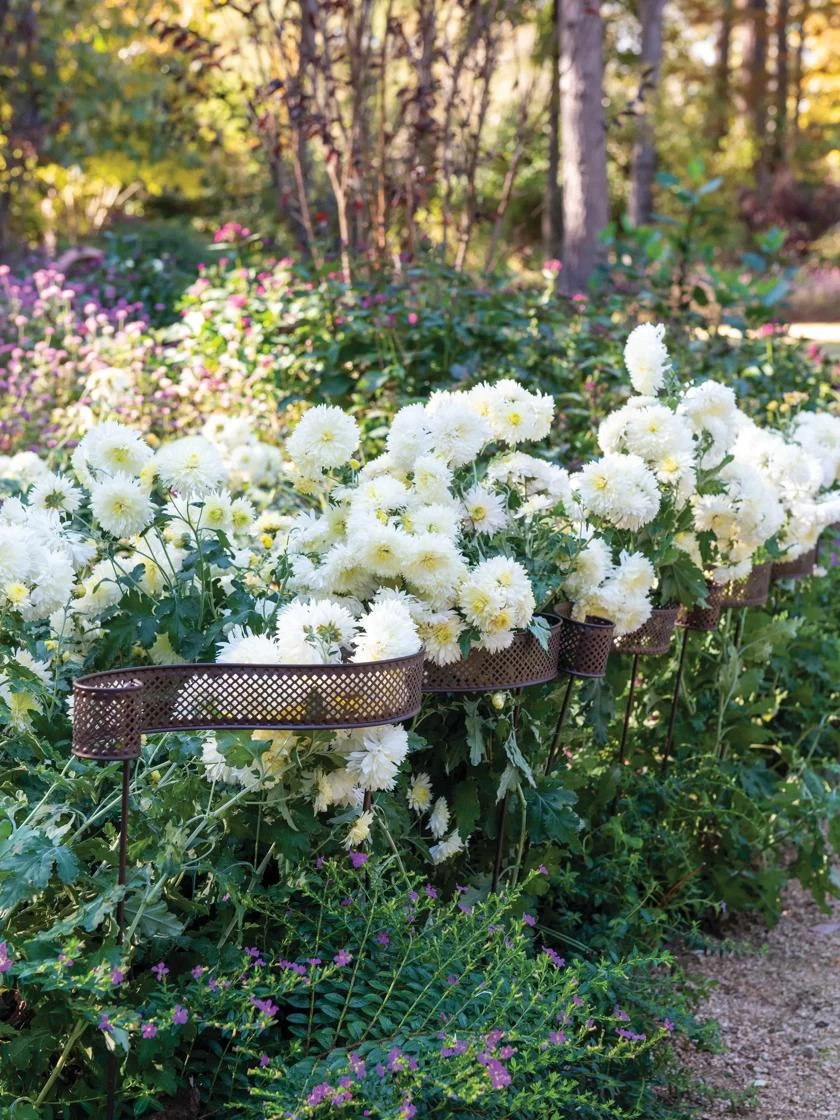 Scroll Linking Stakes, Set Of 3 2 Scroll Linking Stakes, Set Of 3 - Image 2