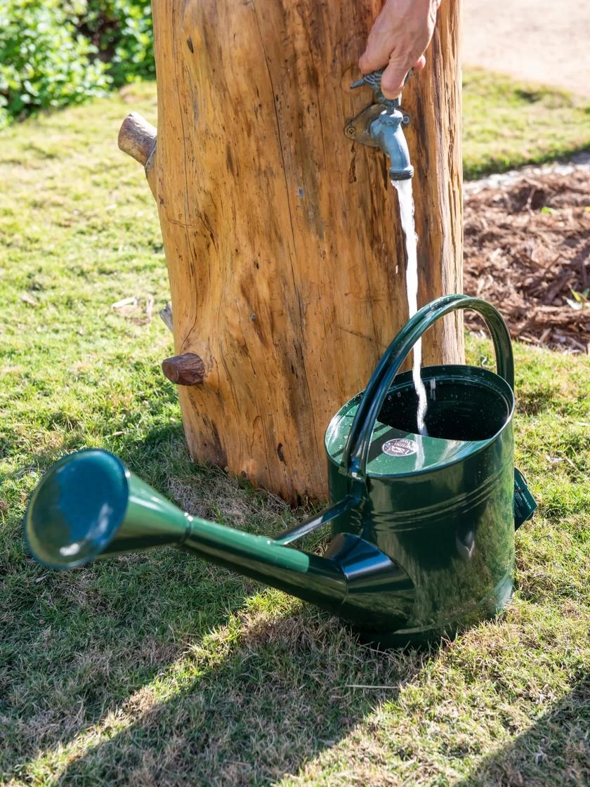 Long Reach Watering Can, Large 3 Long Reach Watering Can, Large - Image 3