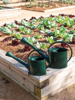 Long Reach Watering Can, Large 10 Long Reach Watering Can, Large -Garden Care Shop 8613346 0148 1