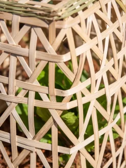 Bamboo Cloche, Set Of 2 17 Bamboo Cloche, Set Of 2 -Garden Care Shop 8613351 0153