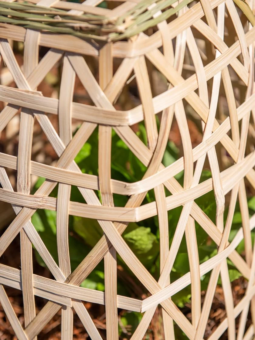 Bamboo Cloche, Set Of 2 8 Bamboo Cloche, Set Of 2 - Image 8