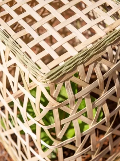 Bamboo Cloche, Set Of 2 16 Bamboo Cloche, Set Of 2 -Garden Care Shop 8613351 0154