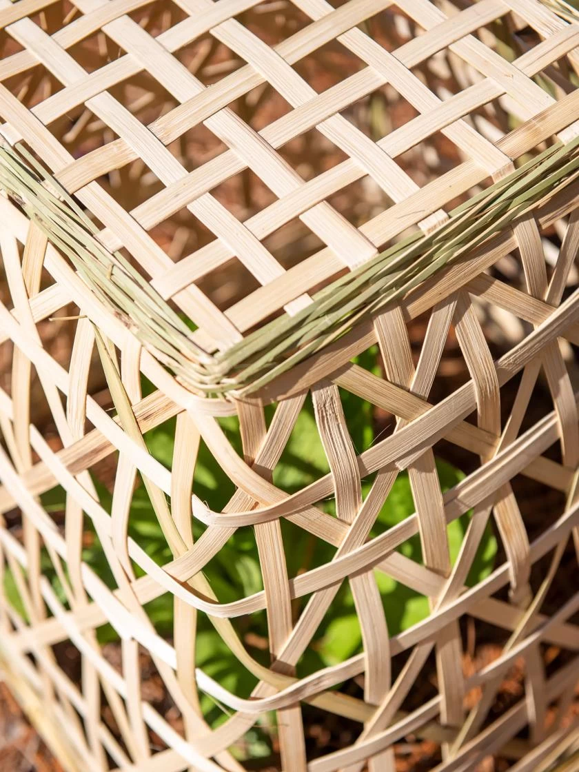 Bamboo Cloche, Set Of 2 7 Bamboo Cloche, Set Of 2 - Image 7