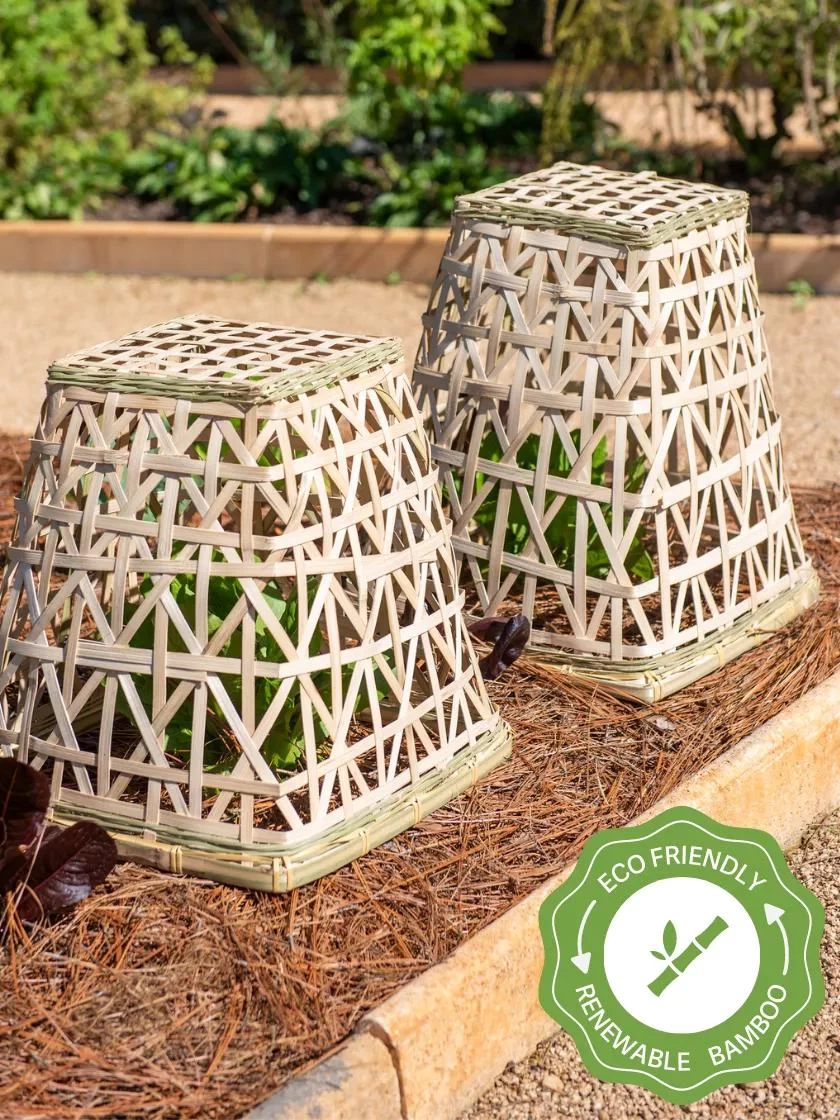 Bamboo Cloche, Set Of 2 1 Bamboo Cloche, Set Of 2