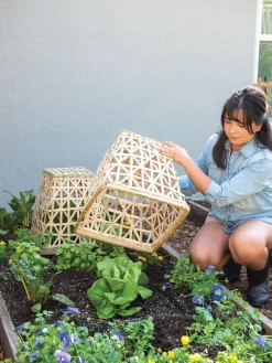 Bamboo Cloche, Set Of 2 13 Bamboo Cloche, Set Of 2 -Garden Care Shop 8613351 6862