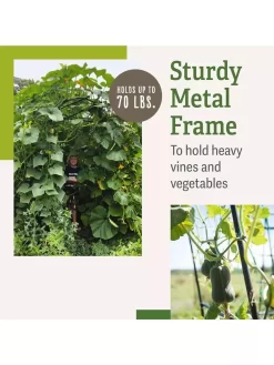 Titan Squash Tunnel -Garden Care Shop B07932DMCR plantsupport benefits 2