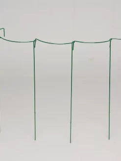 Curved Linking Stakes -Garden Care Shop GS35240 05S tif