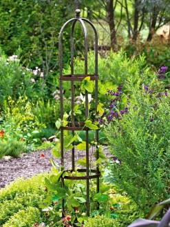 Jardin Bird Cage Support, 26" -Garden Care Shop GS39529 01 tif