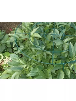 Grow Through Supports, Set Of 3 -Garden Care Shop GS40172 01 1