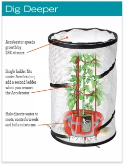 Tomato TLC Kits, Set Of 3 9 Tomato TLC Kits, Set Of 3 -Garden Care Shop hiw 8594214 jpg