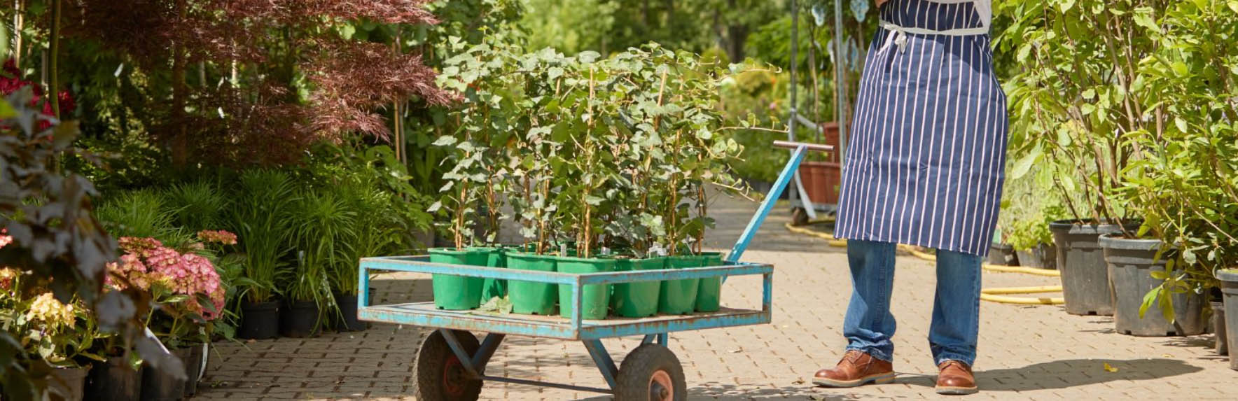 Garden Care Shop -Garden Care Shop GVJNGHJ